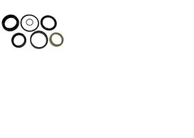 Ouroverstock 700455 For Skyjack Seal Kit